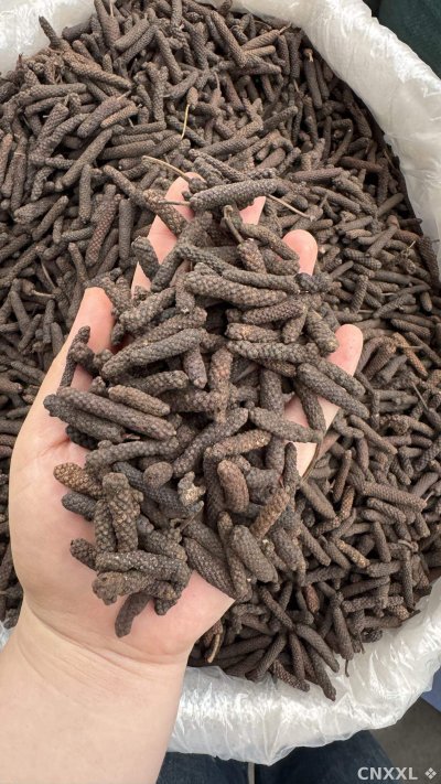 spice_11285_bb4babcf_2.jpg