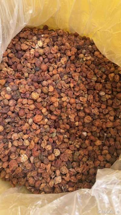 spice_11286_cf36ebcf_3.jpg