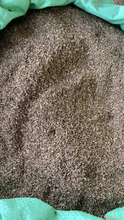 spice_1142257_f532ddbc_3.jpg