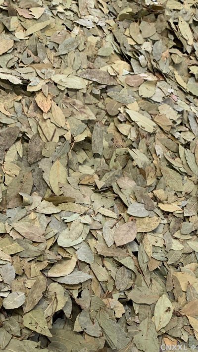 spice_1147266_cc82d23a_1.jpg