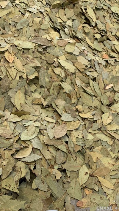 spice_1147266_d3dc0ff8_2.jpg