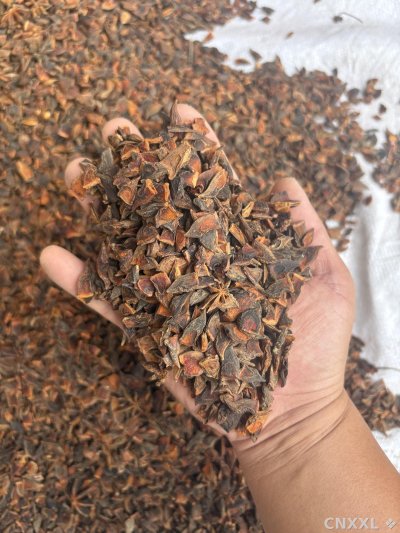spice_11762_9cbdcba6_1.jpg