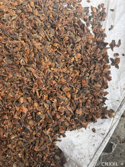 spice_11762_dd16bbd0_3.jpg