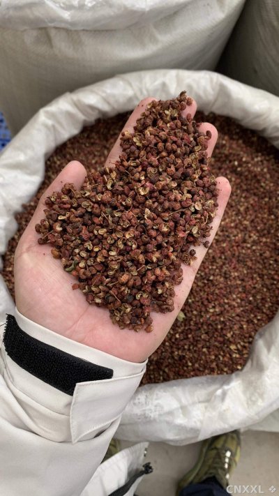 spice_11890_79bf5fbd_2.jpg
