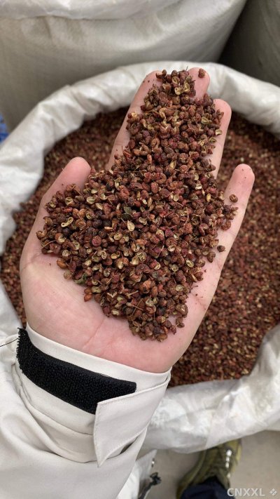 spice_11890_7f8850fb_1.jpg