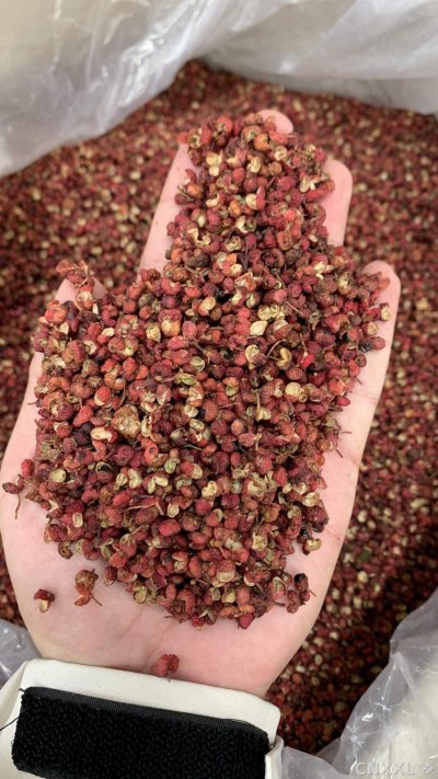 spice_11893_06826364_2.jpg