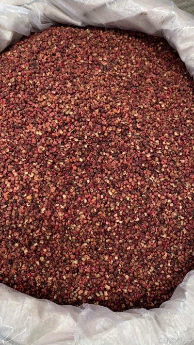 spice_11898_565f0336_3.jpg