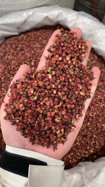 spice_11898_6259ce0d_1.jpg
