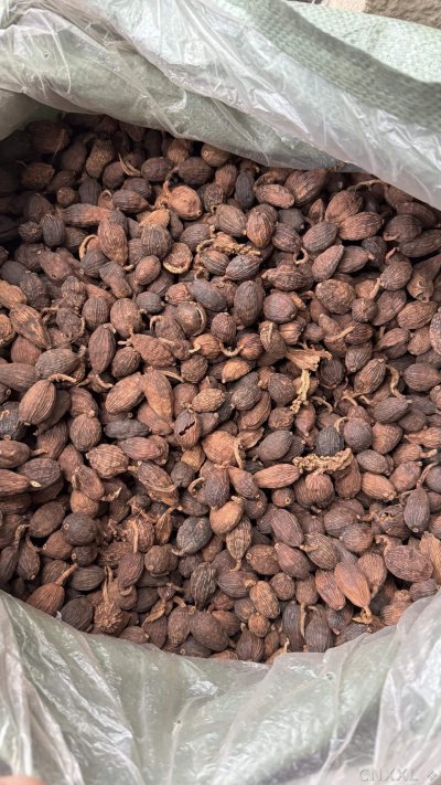 spice_11960_11401185_3.jpg