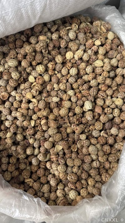 spice_11961_6c7cceb4_3.jpg