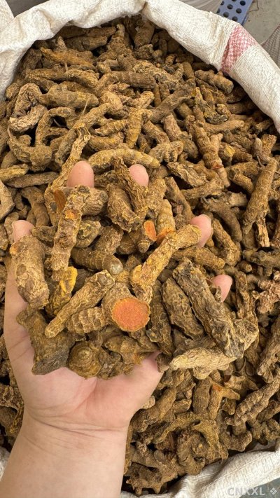 spice_11991_4faa9efd_2.jpg