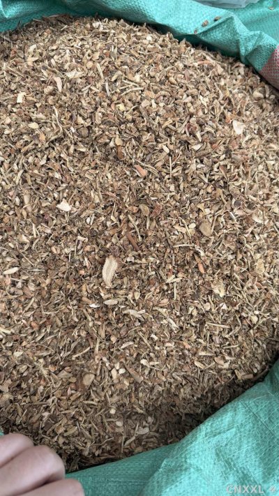 spice_12018_dfb77fe6_2.jpg