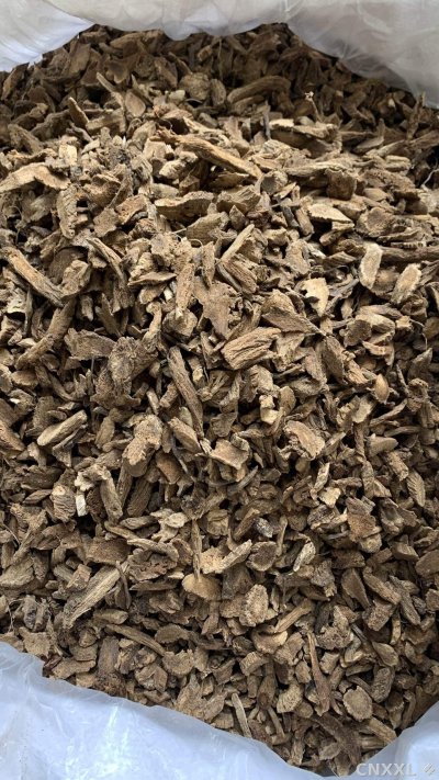 spice_12401_0a10be9c_3.jpg