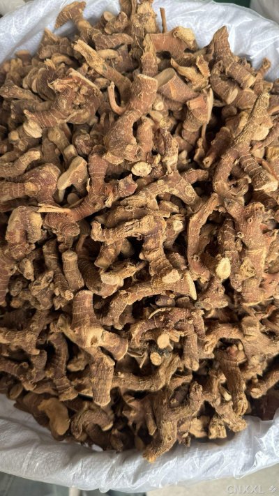 spice_12433_5f641474_2.jpg