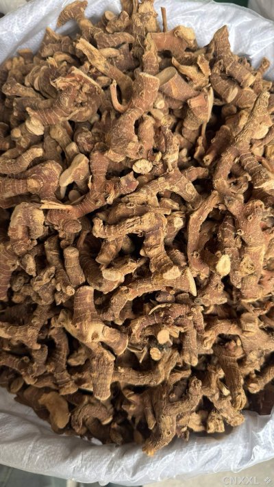 spice_12433_f5c916a0_3.jpg