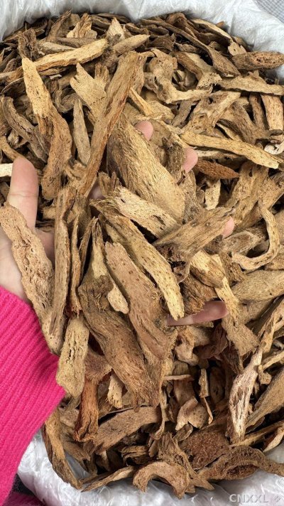 spice_12441_01ad17cc_1.jpg