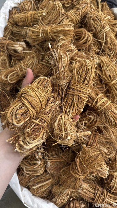 spice_12443_c5a68401_2.jpg