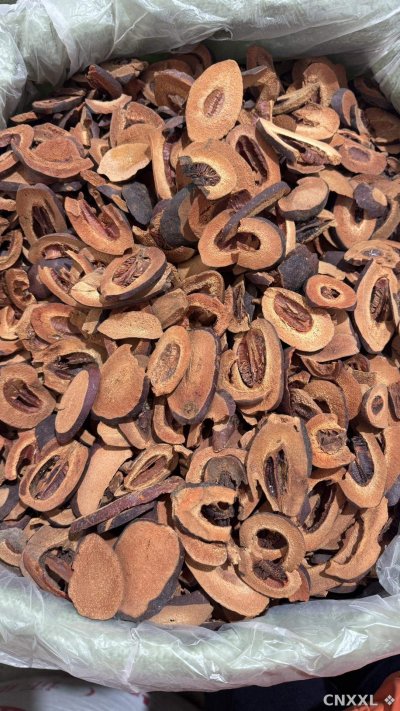 spice_12445_32a301f7_3.jpg