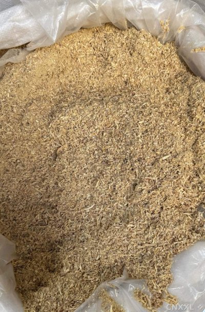 spice_12452_13502e27_3.jpg