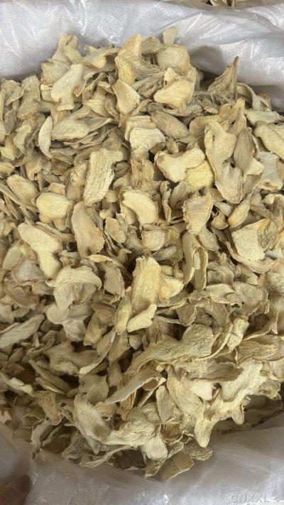 spice_12455_bd98528b_3.jpg