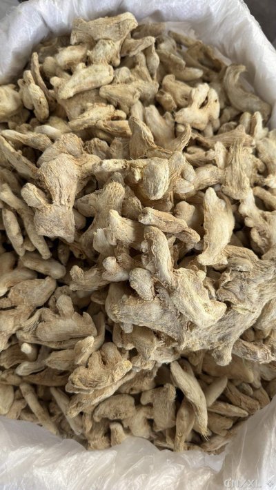 spice_12456_c9afb3e6_3.jpg
