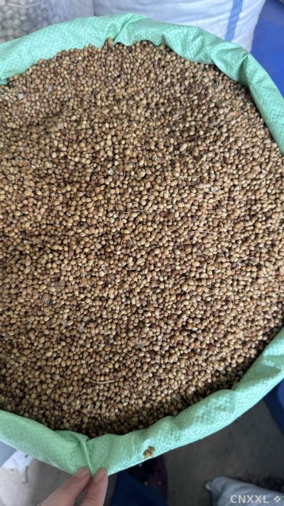 spice_1251632_48aa8ba8_3.jpg