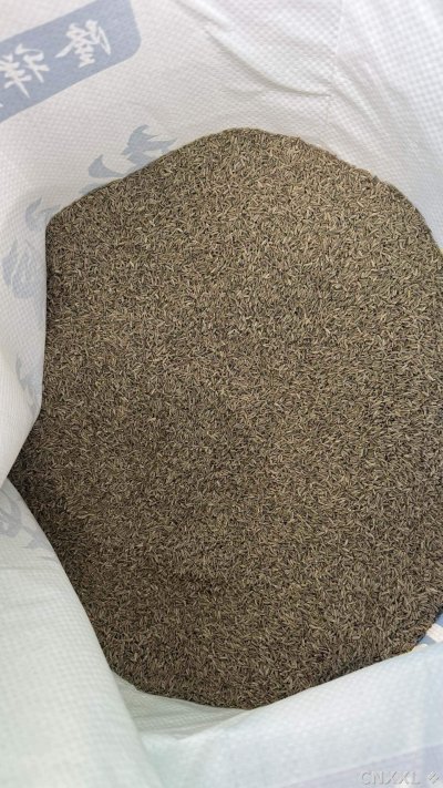spice_1251634_af947d1b_2.jpg