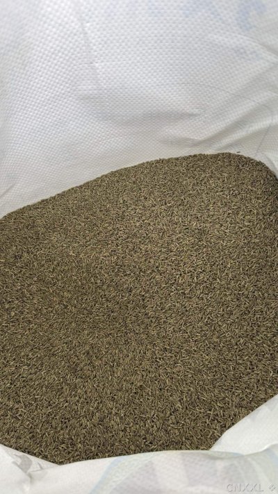 spice_1251646_fac47ca9_2.jpg