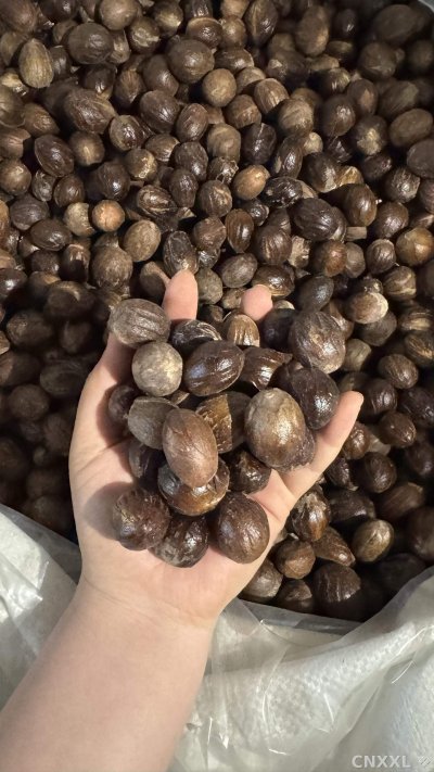 spice_12692_da61487f_2.jpg