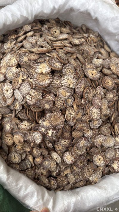 spice_12786_ee7ac8c5_3.jpg