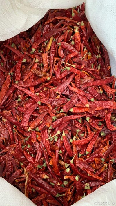 spice_12991_635bb08a_3.jpg