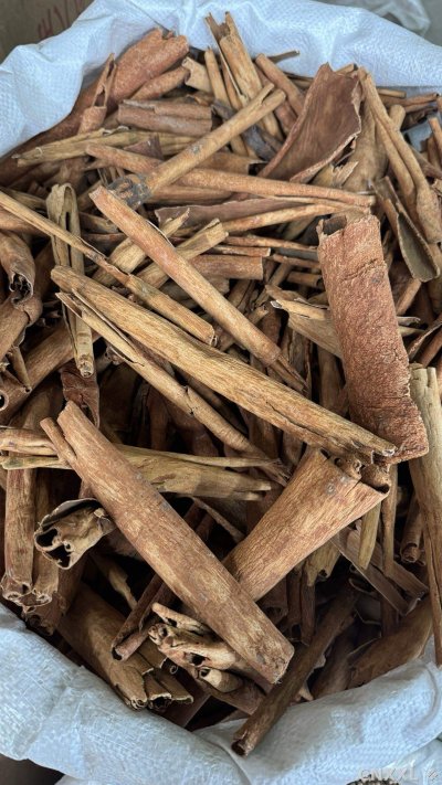 spice_12994_5bfd7e1b_2.jpg