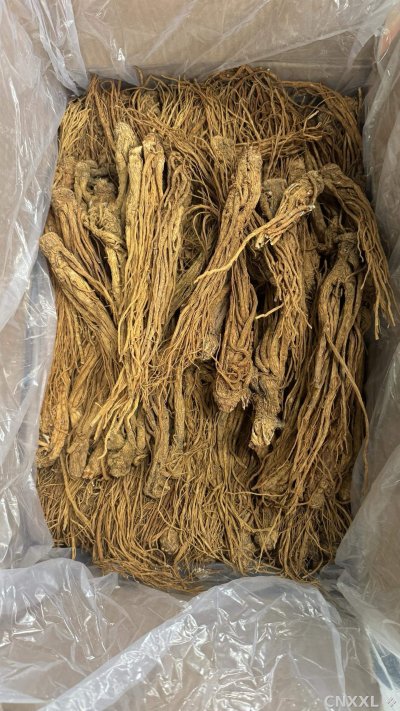 spice_12998_3420e1ee_3.jpg