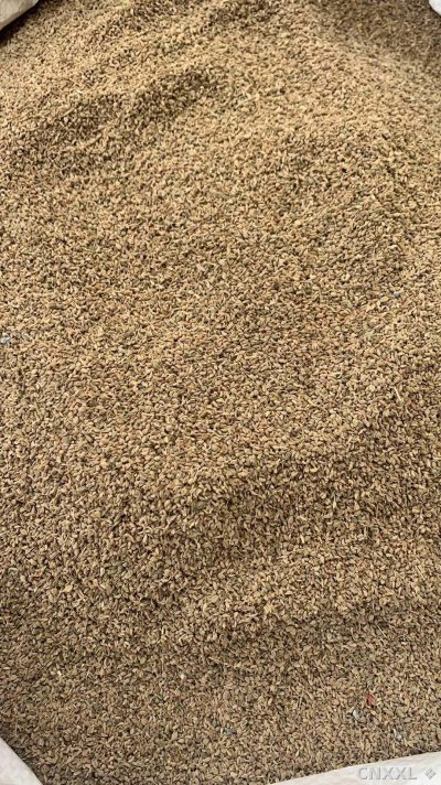 spice_13015_8b4efcbb_3.jpg