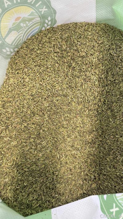 spice_13045_1337071f_2.jpg
