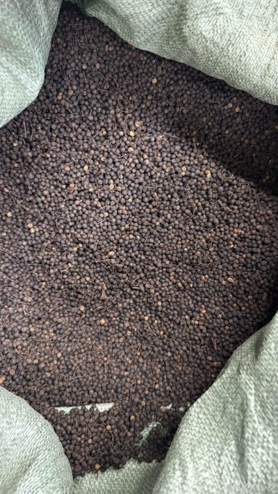 spice_13049_918760aa_3.jpg