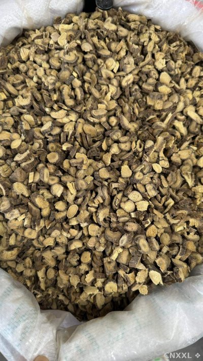 spice_13062_53d1b1fe_3.jpg