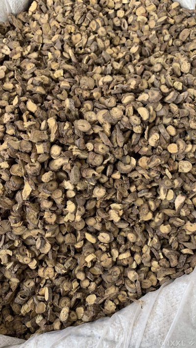 spice_13066_b19c79c9_3.jpg