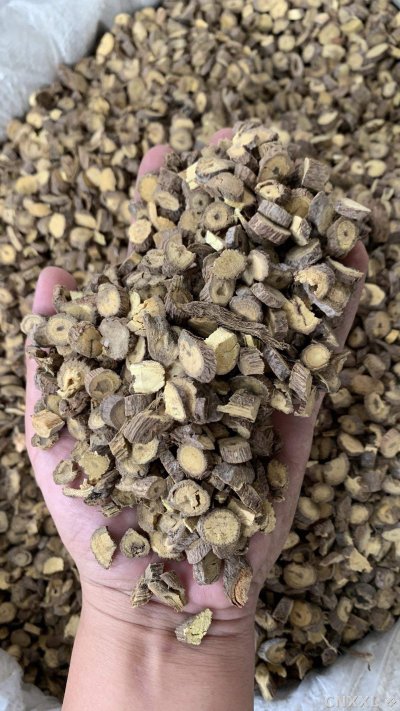 spice_13066_f2311c86_1.jpg