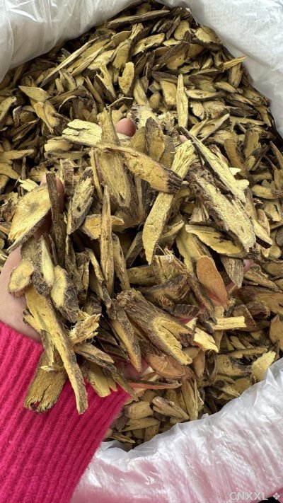 spice_13067_fdb42c91_1.jpg
