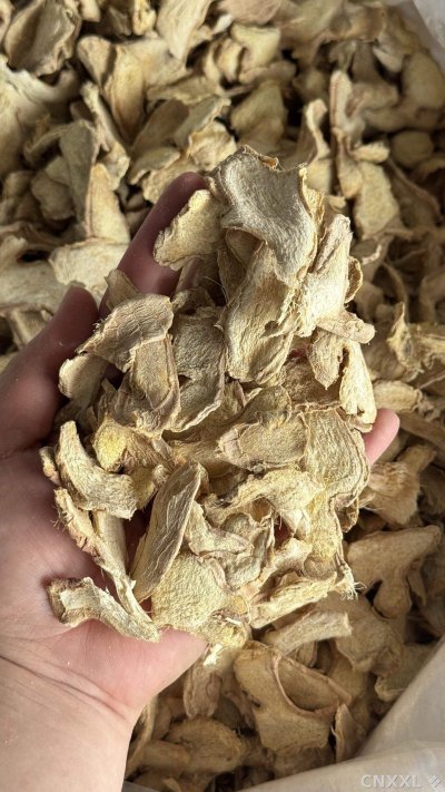 spice_13074_ba681280_2.jpg