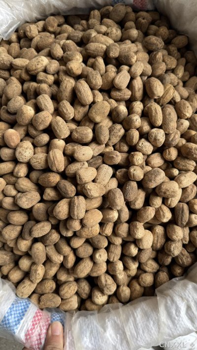 spice_13106_a2989cec_3.jpg