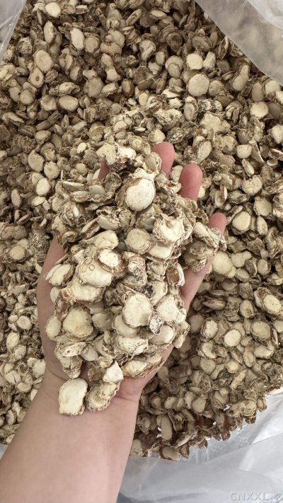 spice_13139_20c536ea_2.jpg
