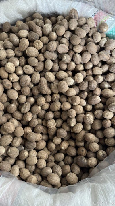 spice_13140_ba1a7814_3.jpg