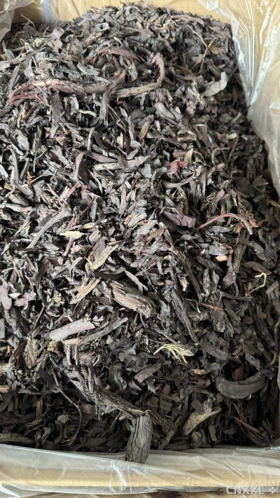 spice_13169_c26844fd_3.jpg
