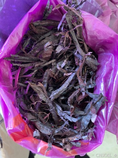spice_13172_c98684e3_3.jpg