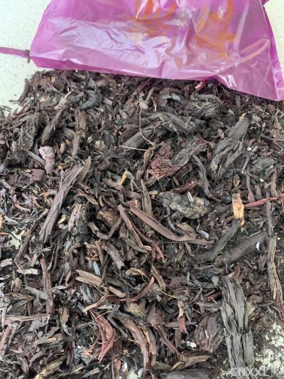spice_13173_7f40886c_1.jpg