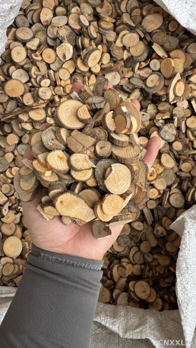 spice_13196_0c74baaf_2.jpg