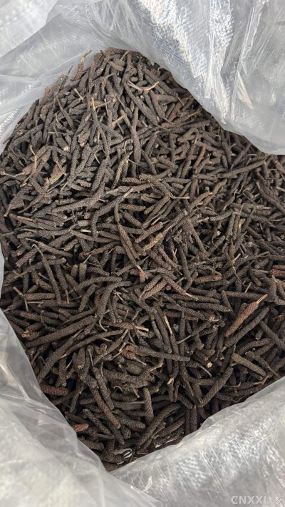 spice_13262_0b46fb86_3.jpg