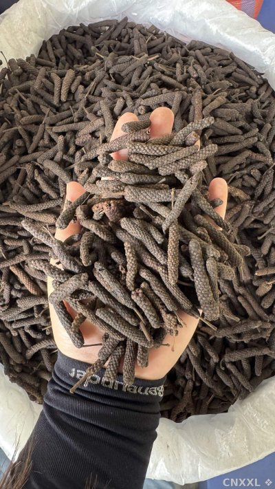 spice_13265_aeaee87f_1.jpg